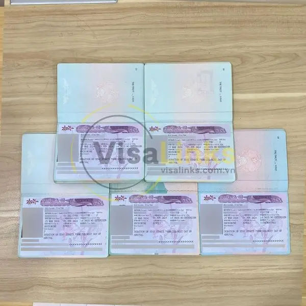 di dai loan co can visa 6726f44a9b319