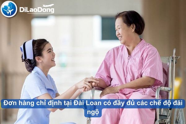 di dai loan nen chon don hang nao 6726f8384a501