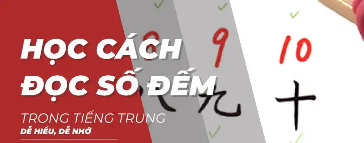 Khám Phá 1000 Từ Vựng Tiếng Trung Cơ Bản - Hướng Dẫn Toàn Diện